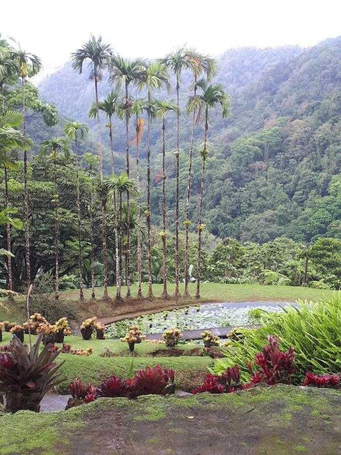 Haut De Villa Chez Ghighi Riviere-Pilote Ngoại thất bức ảnh